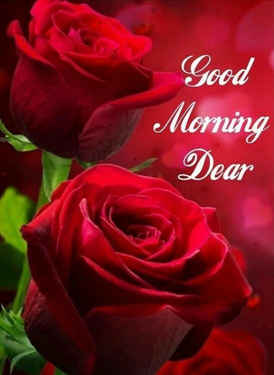 Good Morning Roses